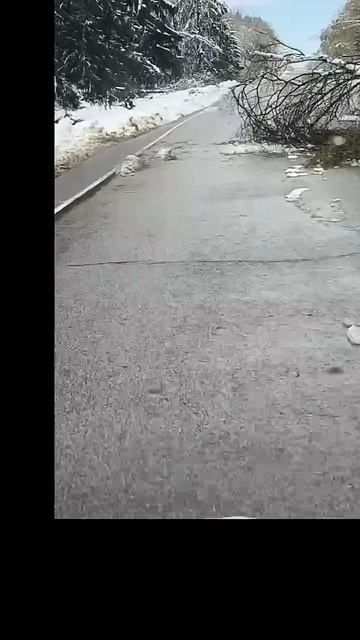 Зима, как гости, заходят на минуту, а остаются  с "ночёвой"