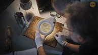Они нашли сокровище, сделанное из металла, не происходящего с Земли