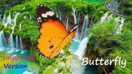 Butterfly (Crazy Town Cover) | Improved Version MOVIE