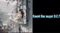 КАКОЙ ВАС ВИДЯТ В.С.