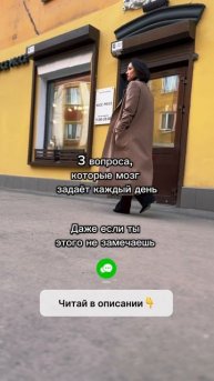 3 главных вопроса вашего мозга