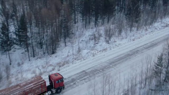 ДУБРАВА | Лесозаготовительный комплекс