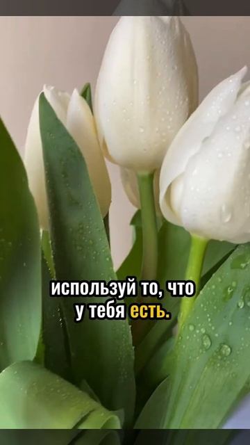 Начни там, где ты есть