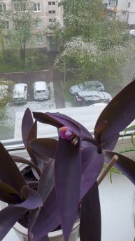Зима/Весна❄️🌷