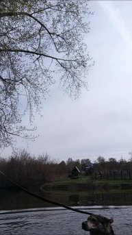 заплыв