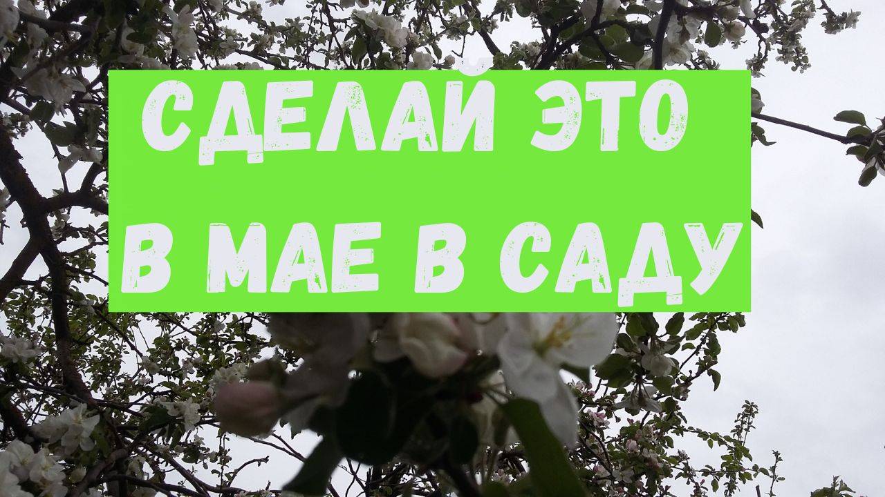 Какие работы в мае в саду