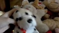 смотрим в свои старые игрушки если вы подписались и ставили лайки я вам подарю одну игрушку любую