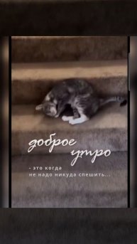 Доброе утро #доброеутро #благодарность