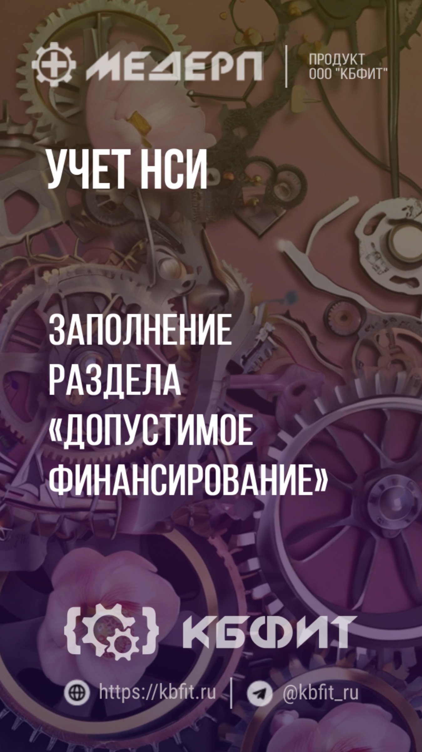 КБФИТ: МЕДЕРП. Учет НСИ: Источники финансирования заполнение раздела «Допустимое финансирование»