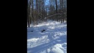 покатушки на лыжах 2018 Московская область