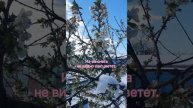 Майская зима - для дачника беда.