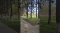 Отдыхаем в майские праздники в парке ЦПКиО#shorts #обзор #весна#automobile #фильм #красота #travel