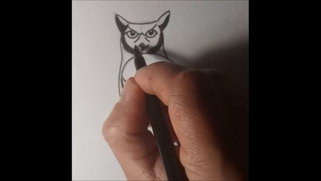 Сова