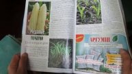 Кукуруза в журнале Огородник №6 2013