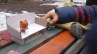 Наша любимая семья