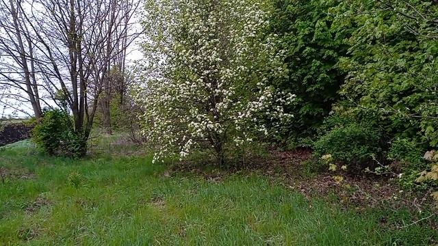 День поминания Матронушки 💐❤