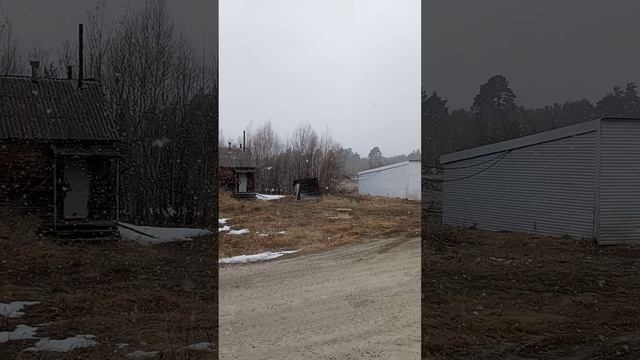 1000020522.mp4