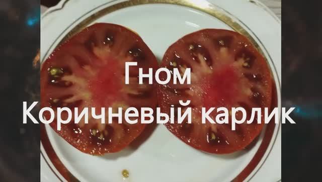 Гномы томатные. Каталог 2024 года и обзор томатных гномов. г. Киров