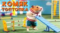 Детская песня про ХОМЯКА