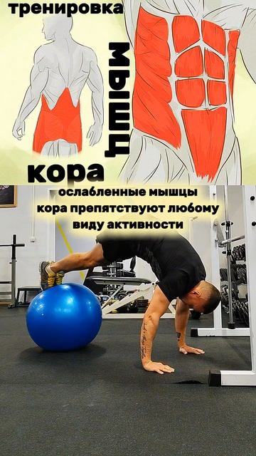 🤔 Зачем укреплять мышцы КОРА