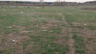 Поле человеческое или что такое человек? 🤔 Что делал он, когда пришёл на поле он?
