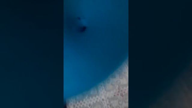 Как сделать мяч антистресс