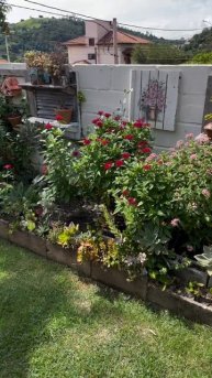 САМЫЕ СМЕЛЫЕ И КРЕАТИВНЫЕ РЕШЕНИЯ ДЛЯ ЛЮБИТЕЛЕЙ ЗЕЛЕНИ И ЦВЕТОВ