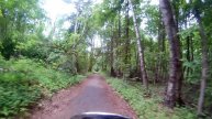 вело прогулка в парке Лосиный остров-biking in the park moose island moscow