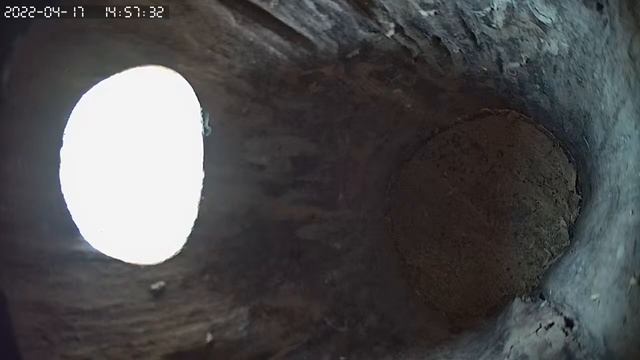 Скворечник