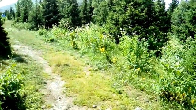 Восхождение на гору Большой Иримель. Часть 9 (1)