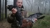 Таких ГЛУХАРЕЙ ЕЩЕ НЕ КТО НЕ ВСТРЕЧАЛ. ОХОТА НА ГЛУХАРЯ.
