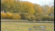 Ирбит 2004 - ст.возр. орл.рыс.пор.