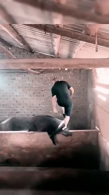 #shorts #top #юмор #топ #смех #позитив #прикол #приколы