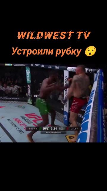Жесткий нокаут Рэнди Браун против Николаса Далби #UFCKansasCity #mma #ufc #shortvideo