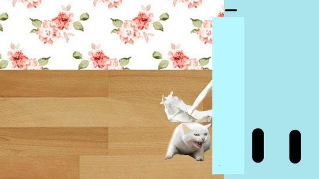 Снежка! 🐱