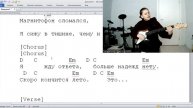 video1768790258