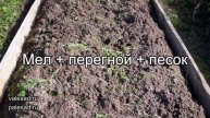 ОБЯЗАТЕЛЬНО СДЕЛАЙТЕ ЭТО ПРИ ПОСАДКЕ ЛУКА ВЕСНОЙ ДЛЯ ОТЛИЧНОГО УРОЖАЯ!