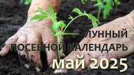 🌱 ЛУННЫЙ ПОСЕВНОЙ КАЛЕНДАРЬ на МАЙ 2025: Когда сажать, чтобы получить богатый урожай?