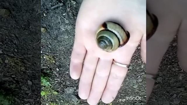 Итог покорения пик Чехова