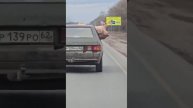 Едем с пацанами на шашлыки и тут такой экземпляр в машине