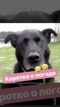 1000001367.mp4