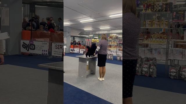 1000216329.mp4