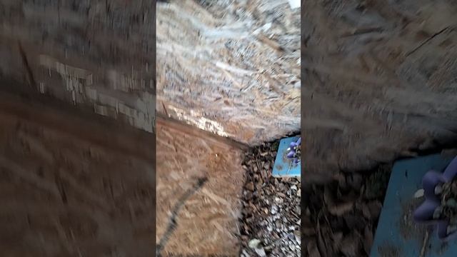 VID20250502165556.mp4
