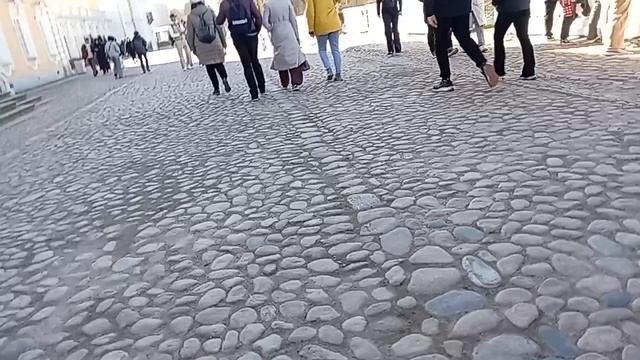 Петергоф фонтаны