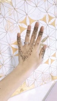 В школе мехенди обучаем росписи джагуа гелем #mehendi