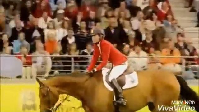 Клип "Чернила" конный спорт