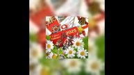 9 МАЯ – ДЕНЬ ГОРДОСТИ, СЛАВЫ И ВЕЧНОЙ ПАМЯТИ! (20)