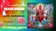 Ты появляешься белая Кошка когда появляется Гуру Крошка Нараяна