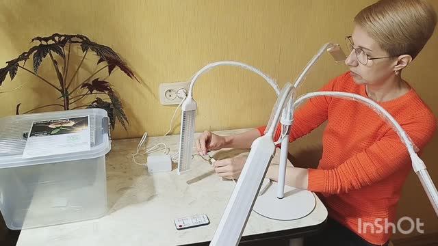 1000005071.mp4