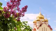 Николай Сербский - Пестрый город, рассказ - размышление